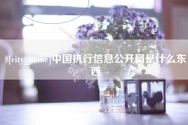 阳谷中国执行信息公开网是什么东西