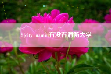 阳谷有没有消防大学