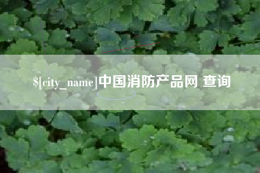 阳谷中国消防产品网 查询