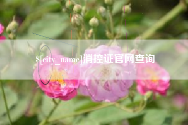 阳谷消控证官网查询