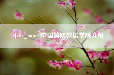 阳谷中国消防救援学院介绍