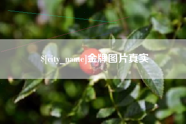 阳谷金牌图片真实