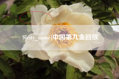 阳谷中国第九金回放