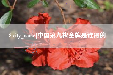 阳谷中国第九枚金牌是谁得的