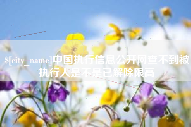 阳谷中国执行信息公开网查不到被执行人是不是已解除限高
