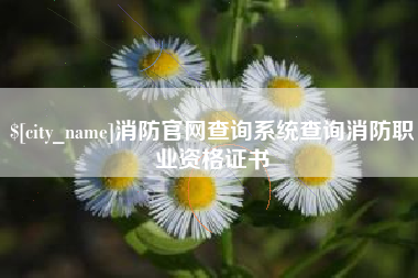阳谷消防官网查询系统查询消防职业资格证书