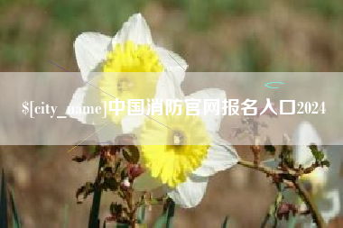 阳谷中国消防官网报名入口2024