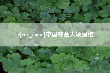 阳谷中国夺金大项是谁