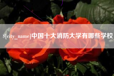 阳谷中国十大消防大学有哪些学校