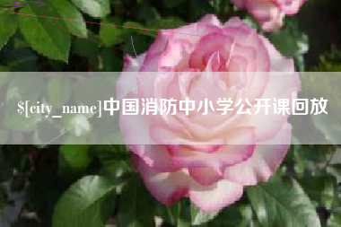 阳谷中国消防中小学公开课回放