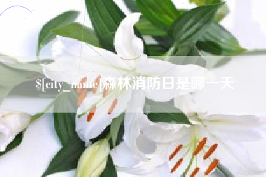 阳谷森林消防日是哪一天