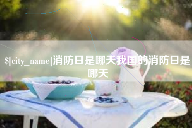阳谷消防日是哪天我国的消防日是哪天