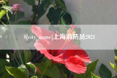 阳谷上海消防员2021
