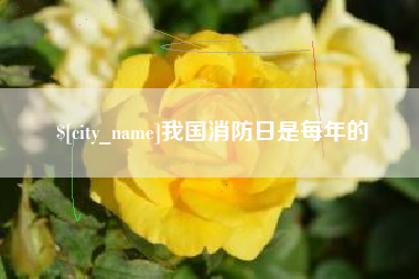 阳谷我国消防日是每年的