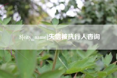 阳谷失信被执行人杳询