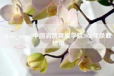阳谷中国消防救援学院2020年录取结果