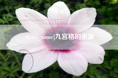 阳谷九宫格的来源