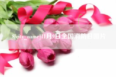 阳谷11月9日全国消防日图片