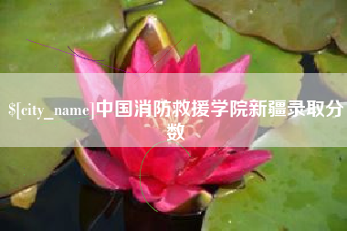 阳谷中国消防救援学院新疆录取分数