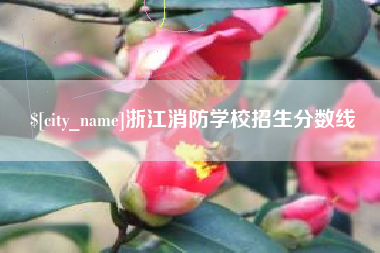 阳谷浙江消防学校招生分数线
