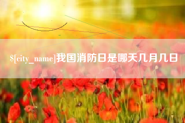 阳谷我国消防日是哪天几月几日