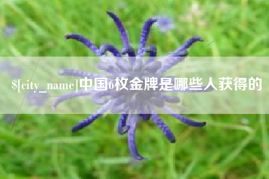 阳谷中国6枚金牌是哪些人获得的