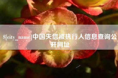 阳谷中国失信被执行人信息查询公开网址