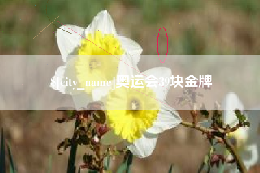 阳谷奥运会39块金牌
