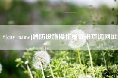 阳谷消防设施操作员证书查询网址