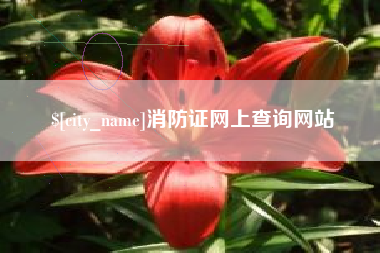 阳谷消防证网上查询网站