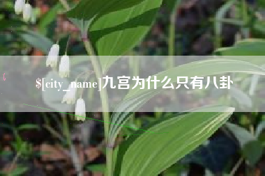 阳谷九宫为什么只有八卦