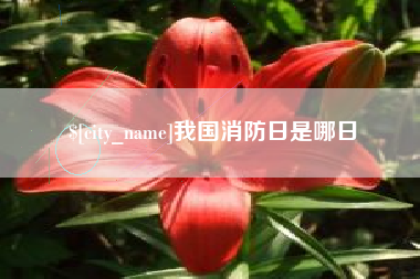 阳谷我国消防日是哪日