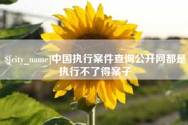 阳谷中国执行案件查询公开网都是执行不了得案子