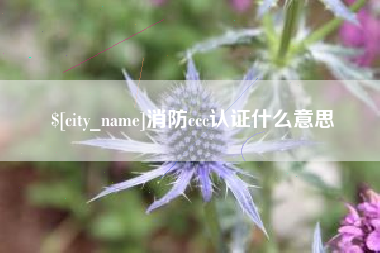 阳谷消防ccc认证什么意思
