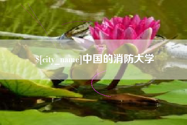 阳谷中国的消防大学