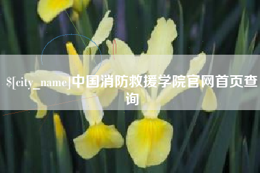 阳谷中国消防救援学院官网首页查询
