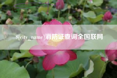 阳谷消防证查询全国联网