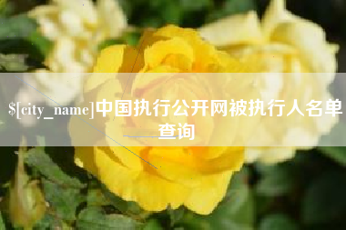 阳谷中国执行公开网被执行人名单查询