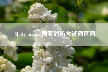 阳谷国家消防考试网官网