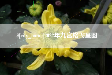 阳谷2022年九宫格飞星图