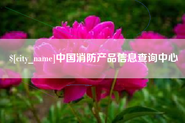 阳谷中国消防产品信息查询中心