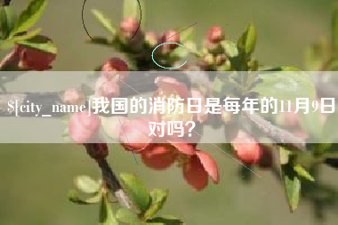 阳谷我国的消防日是每年的11月9日对吗？