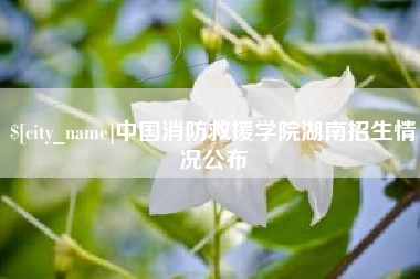 阳谷中国消防救援学院湖南招生情况公布