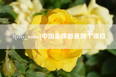 阳谷中国金牌都是哪个项目