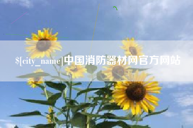 阳谷中国消防器材网官方网站