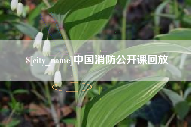 阳谷中国消防公开课回放