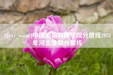 阳谷中国消防救援学院分数线2023年河北录取分数线