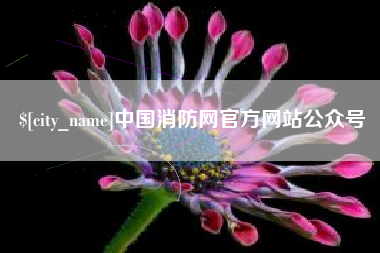 阳谷中国消防网官方网站公众号