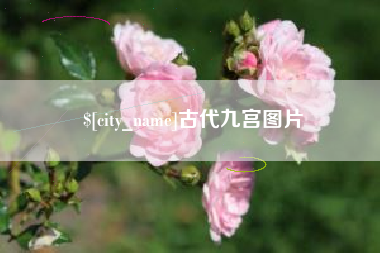 阳谷古代九宫图片