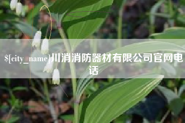 阳谷川消消防器材有限公司官网电话